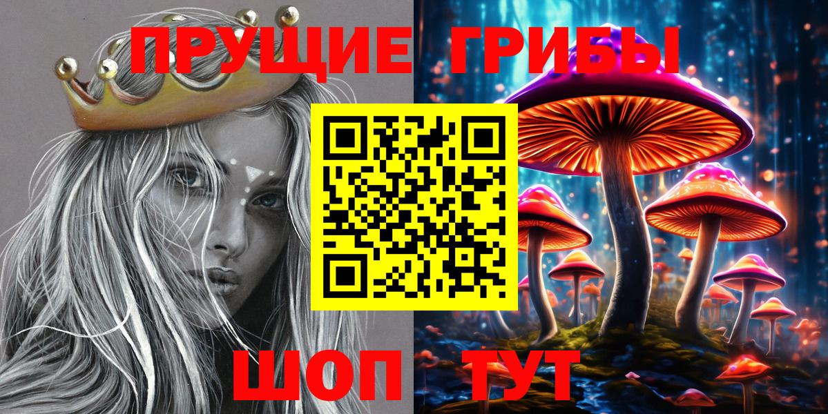 Галлюциногенные грибы Cubensis  Вход с VPN  Псилоцибиновые грибы мицелий  Тобольск 