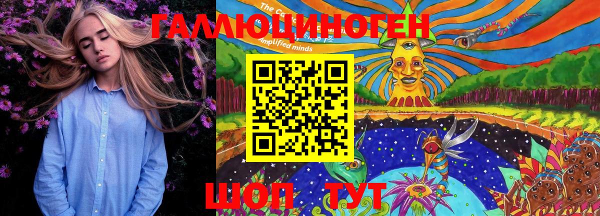 Галлюциногенные грибы Psilocybine cubensis Тобольск